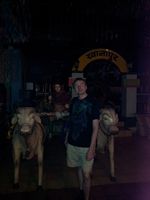 2011-12-03 13.54.03.jpg